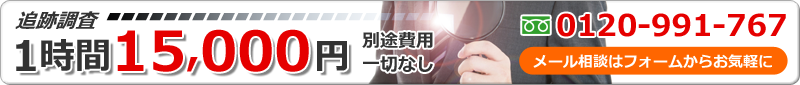 追跡調査 1時間 15,000円